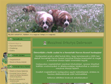 Tablet Screenshot of moszkvaiordebrecen.hu
